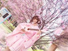 画像23: 【送料無料】C2167いちごギンガムチェック浴衣セット《予約受付》 (23)
