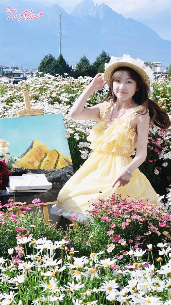 画像31: 【ToAlice】C3174サマーデイジーギンガムチェックジャンパスカート【30%OFF】 (31)