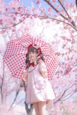 画像20:  【ToAlice】C6688ビッグうさ耳バルーンワンピース (20)
