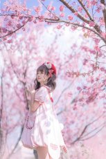 画像23:  【ToAlice】C6688ビッグうさ耳バルーンワンピース (23)