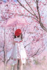画像25:  【ToAlice】C6688ビッグうさ耳バルーンワンピース (25)