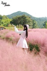 画像13: 【PuppetBombs】QS47 レースアップリボンツイードベレー帽 (13)